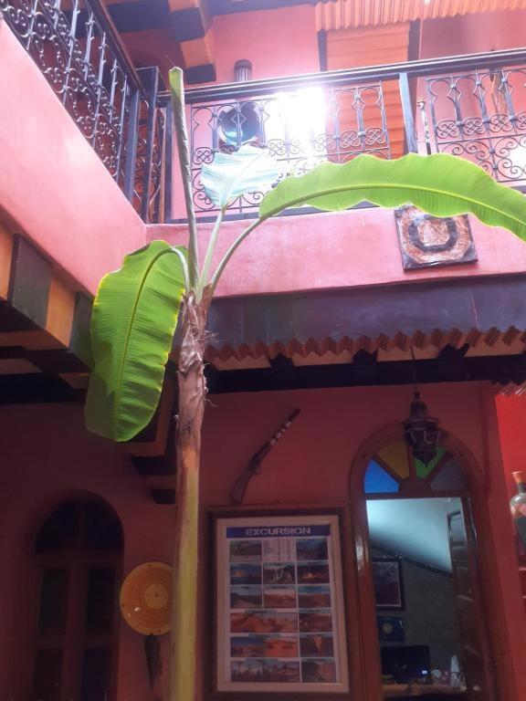 Riad Hanafi Марракеш Экстерьер фото